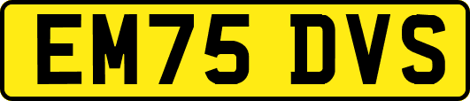 EM75DVS