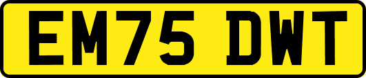 EM75DWT