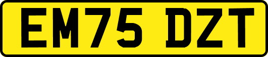 EM75DZT