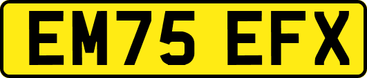 EM75EFX