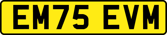 EM75EVM