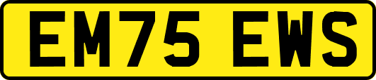 EM75EWS