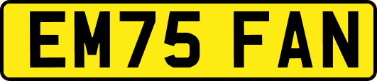 EM75FAN