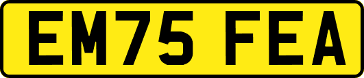 EM75FEA
