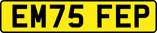 EM75FEP