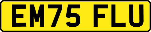 EM75FLU