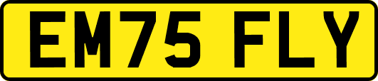 EM75FLY