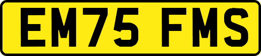 EM75FMS