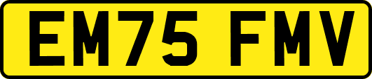 EM75FMV