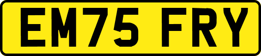 EM75FRY