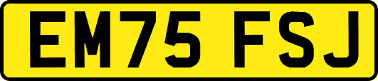 EM75FSJ
