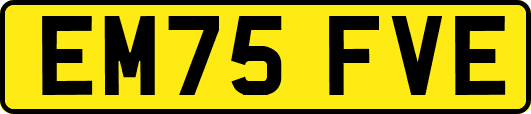 EM75FVE