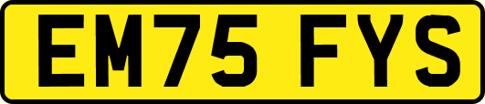 EM75FYS