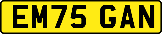EM75GAN