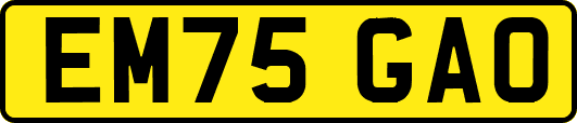 EM75GAO