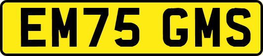 EM75GMS