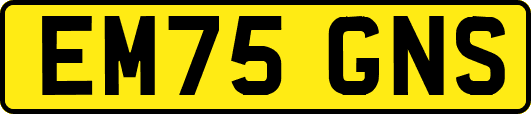 EM75GNS