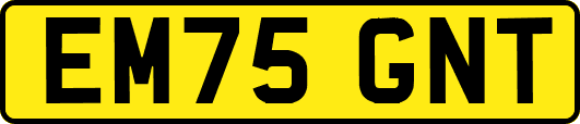 EM75GNT