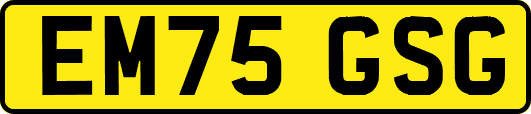 EM75GSG