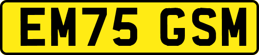 EM75GSM