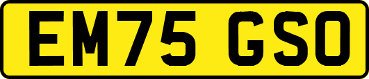 EM75GSO