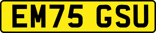 EM75GSU
