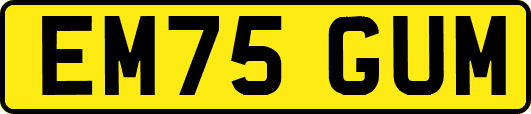 EM75GUM