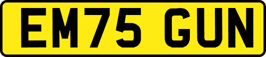 EM75GUN