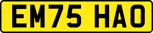 EM75HAO