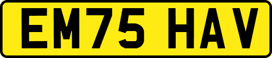 EM75HAV