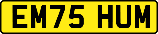 EM75HUM
