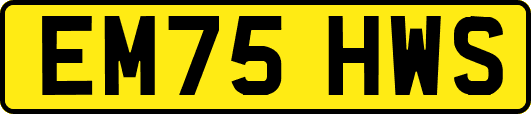 EM75HWS