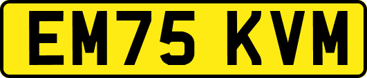 EM75KVM
