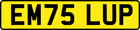 EM75LUP