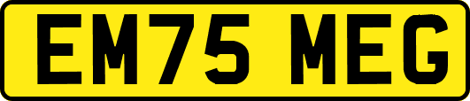 EM75MEG