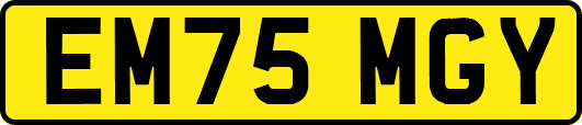 EM75MGY