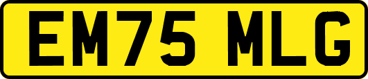 EM75MLG