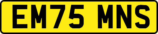 EM75MNS