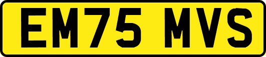 EM75MVS