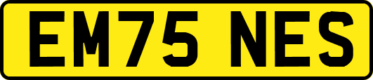 EM75NES