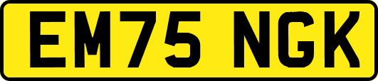 EM75NGK