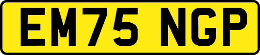 EM75NGP
