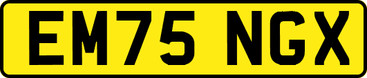 EM75NGX