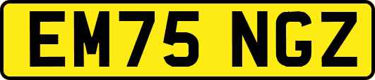 EM75NGZ