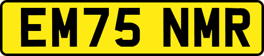 EM75NMR