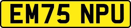 EM75NPU