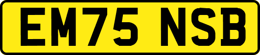 EM75NSB