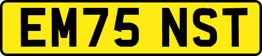 EM75NST