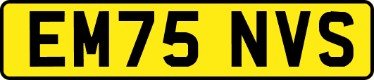EM75NVS