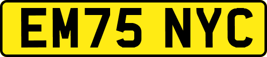 EM75NYC